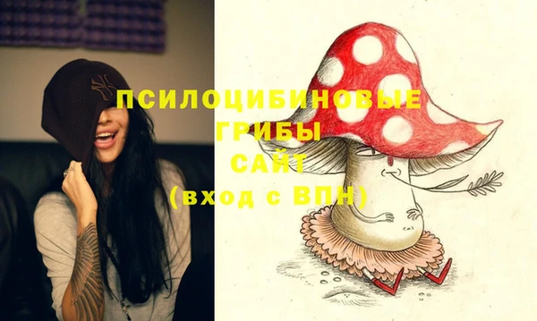 мдпв Балахна